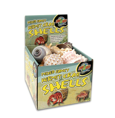 Hermit Crab Fancy Shells