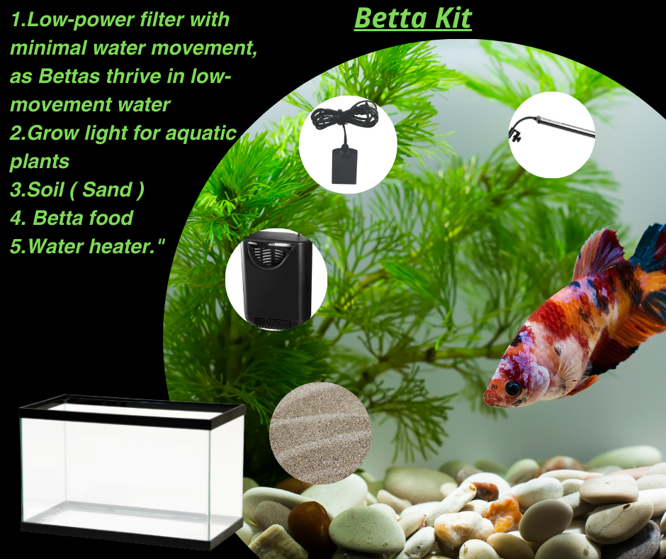 Betta Kit