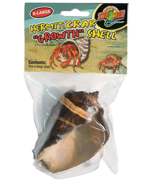 Hermit Crab "Growth" Shell - X-Large - 1 pk