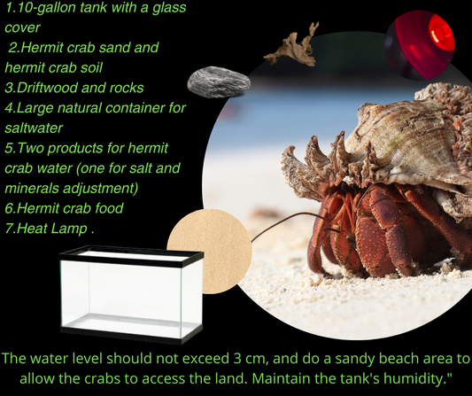 Hermit Crab Kit